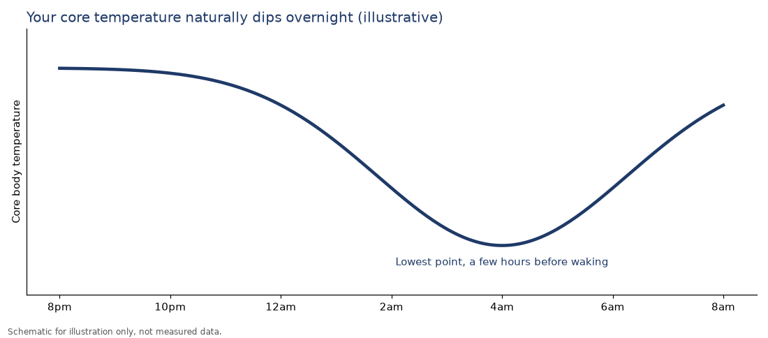 Illustrative chart of core body temperature dipping overnight and reaching its lowest point before waking